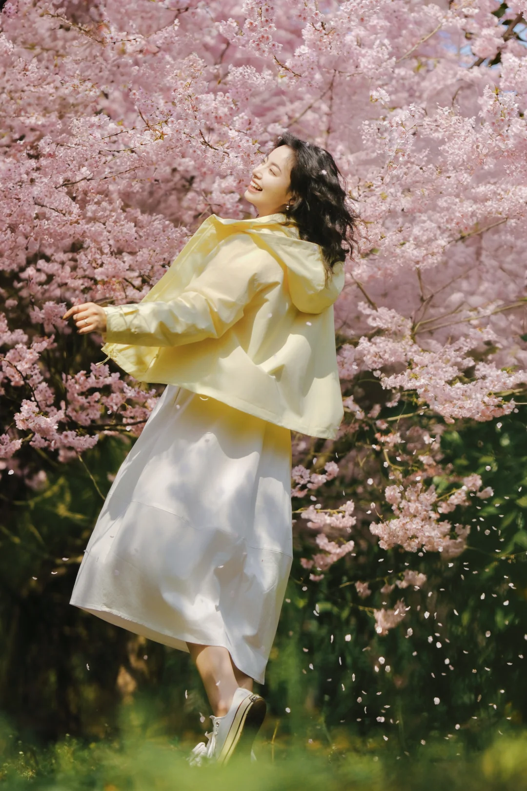 樱花树下，是我与春天的欣喜重逢