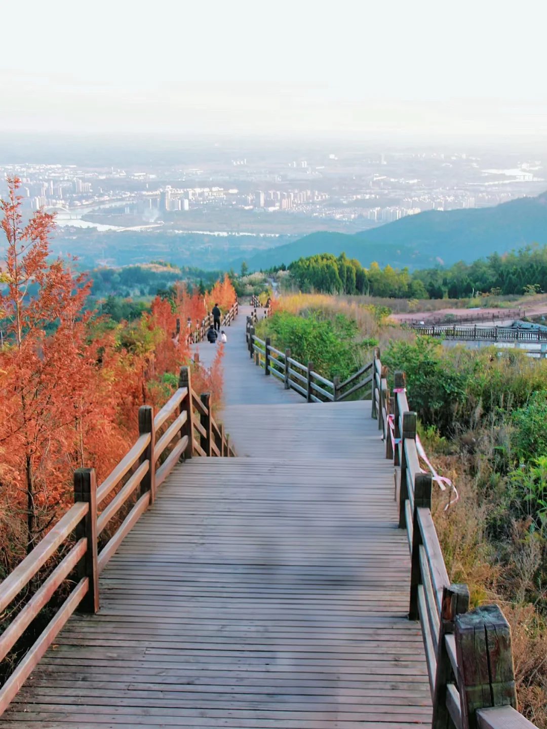 成都这条适合新手徒步的山顶步道‼️一定要来