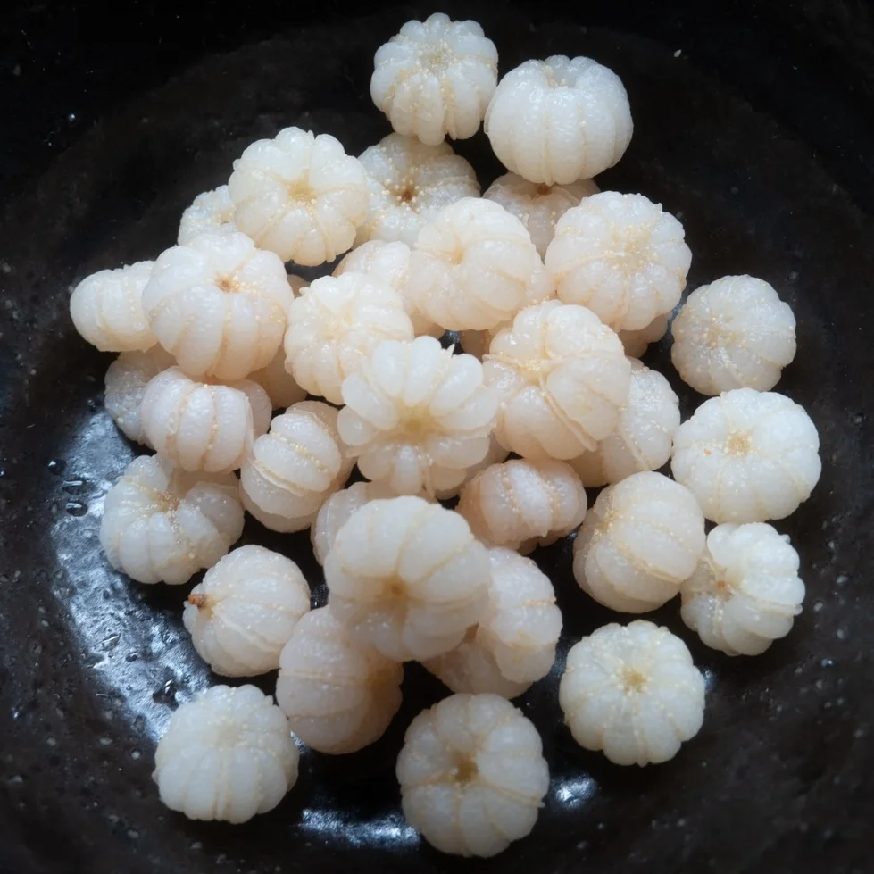 日本稀有浆果～岩梨Epigaea repens