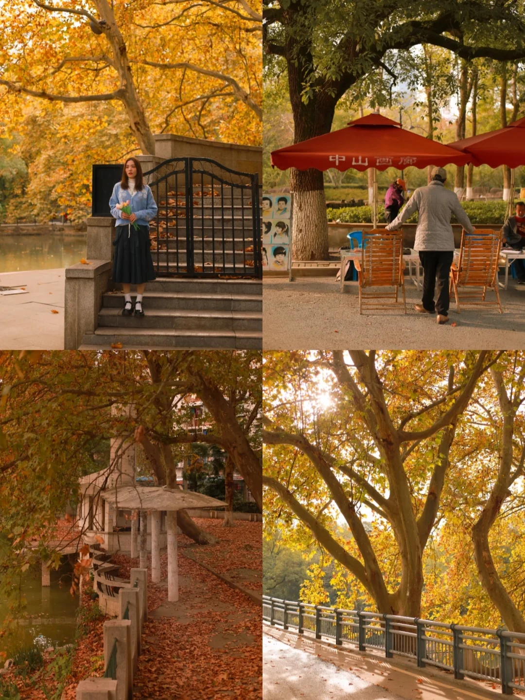 武汉秋日必打卡🔥这个老牌宝藏公园绝绝子