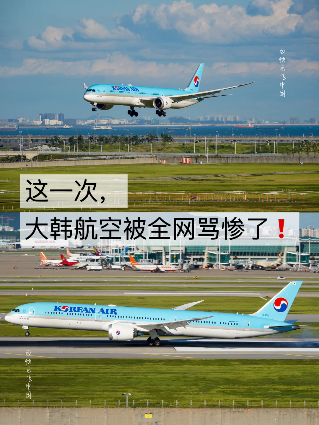 这一次，大韩航空被全网骂惨了❗️