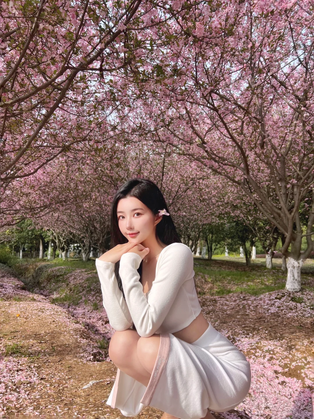 3月旅行｜小众春天赏花秘密打卡点🌸