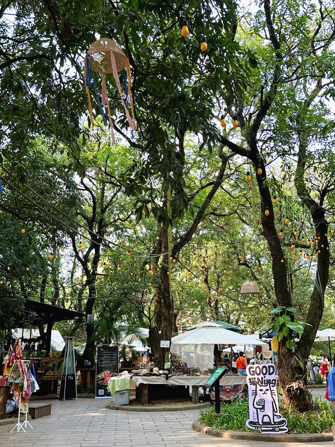 在版纳，找到了和清迈一样的慢集市 一直很喜欢清迈的旅行氛围 没有必须要...