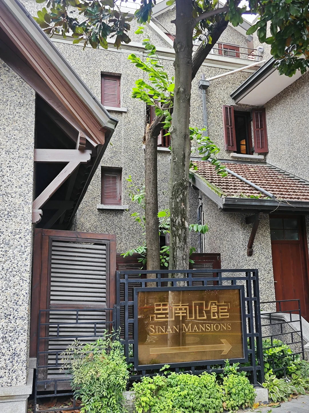 台风已经把思南公馆门口脸盆粗的树折断