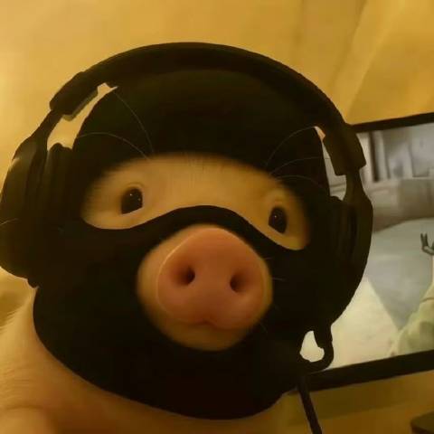 猪总监