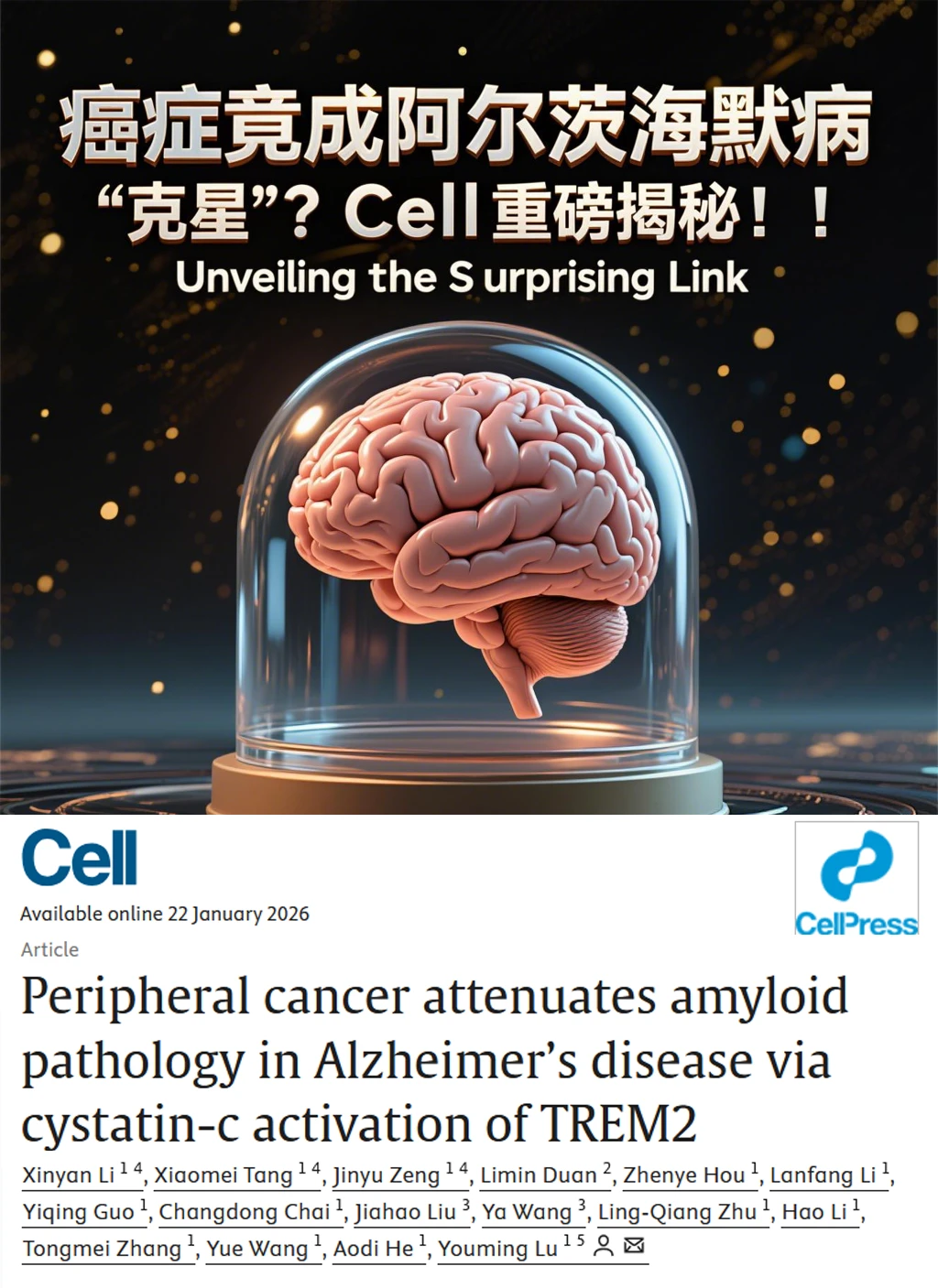 Cell重磅-癌症对抗阿尔茨海默病，关键在这！
