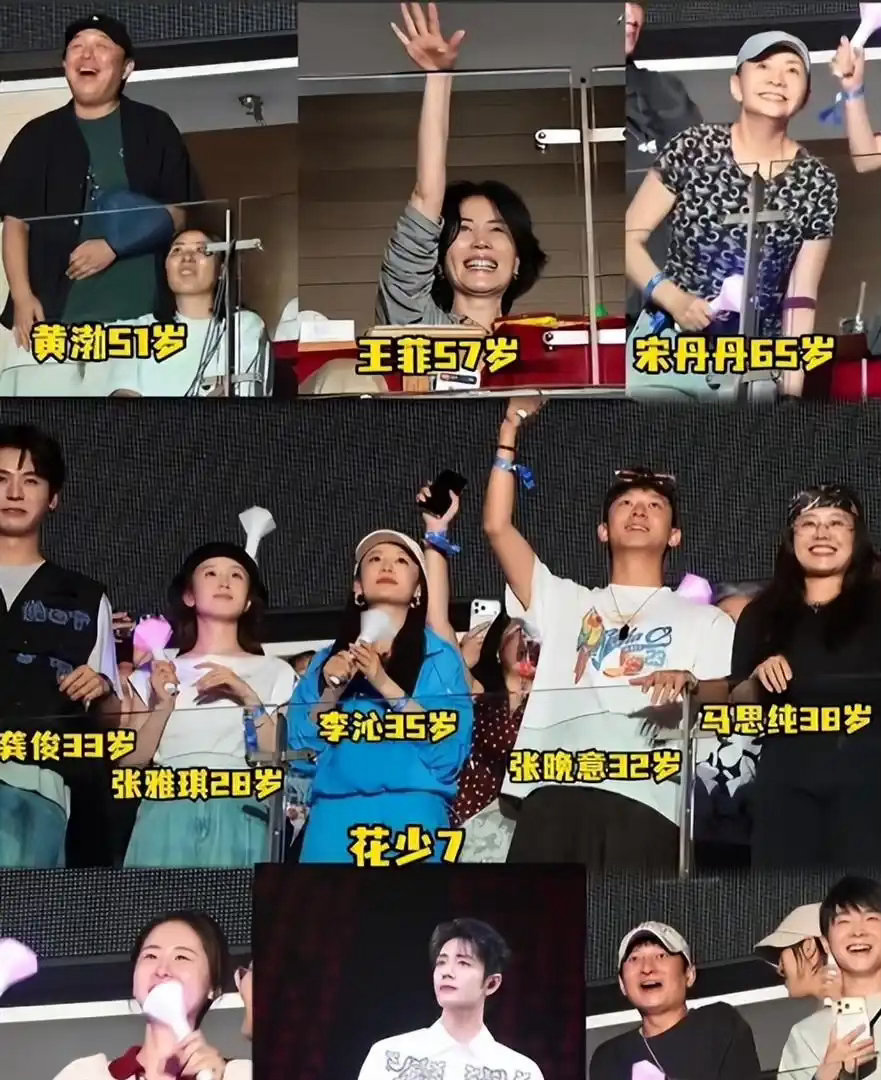 那英演唱会，倚在李维嘉肩上的王菲并非最大亮点，19岁的女儿才是 ​
