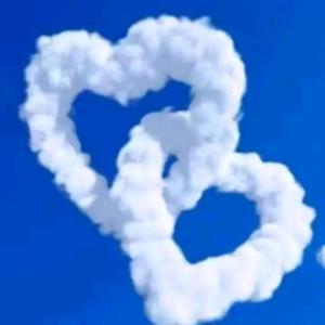 来自北方的良仁