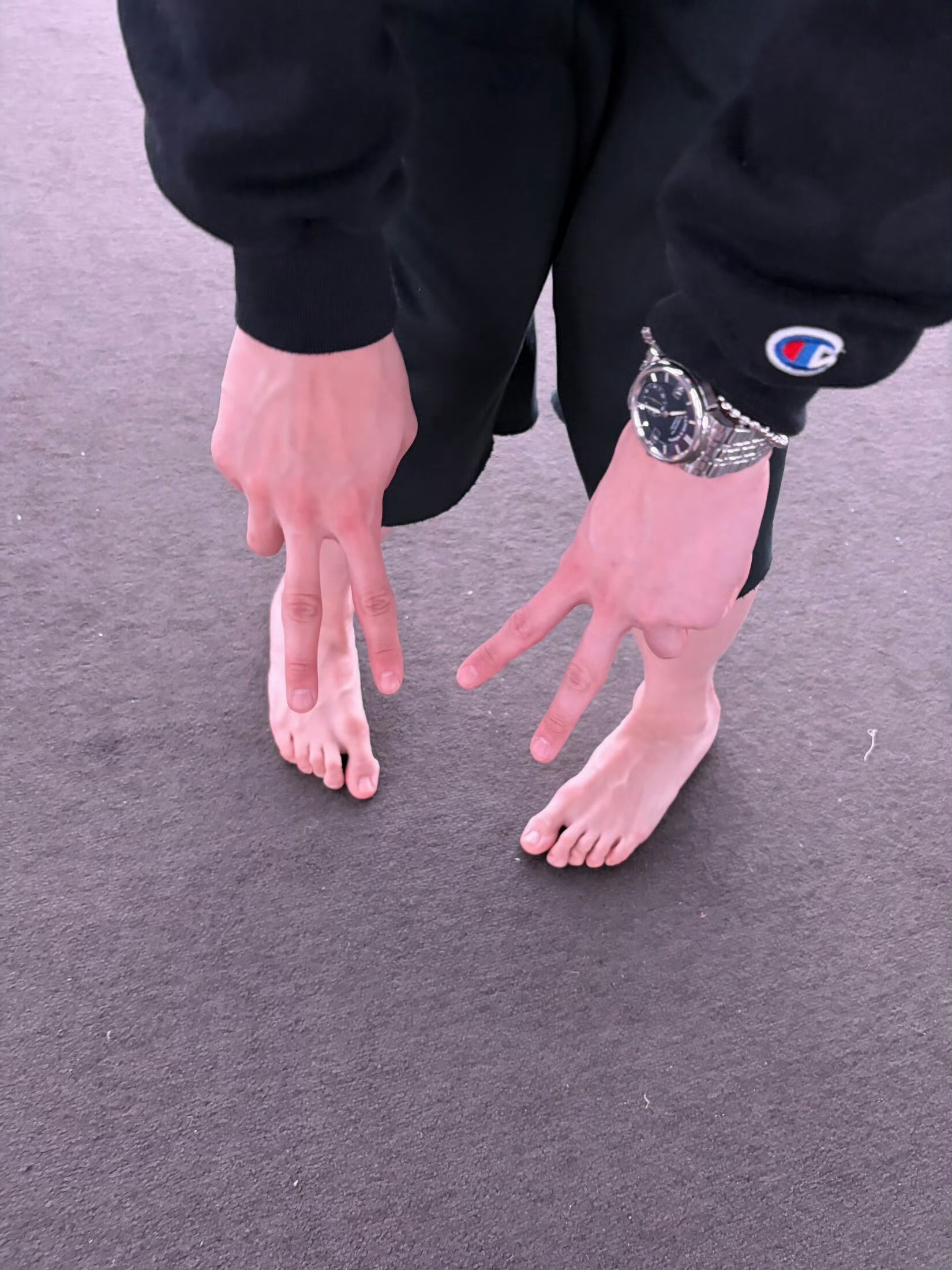 猪蹄哒哒哒 ​​​