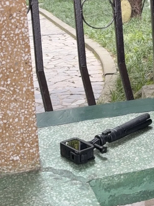 在鹅岭公园捡到了野生大疆。。。