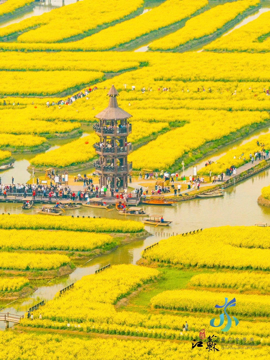 不愧是《国家地理》推荐的水上花海❗❗美哭😭