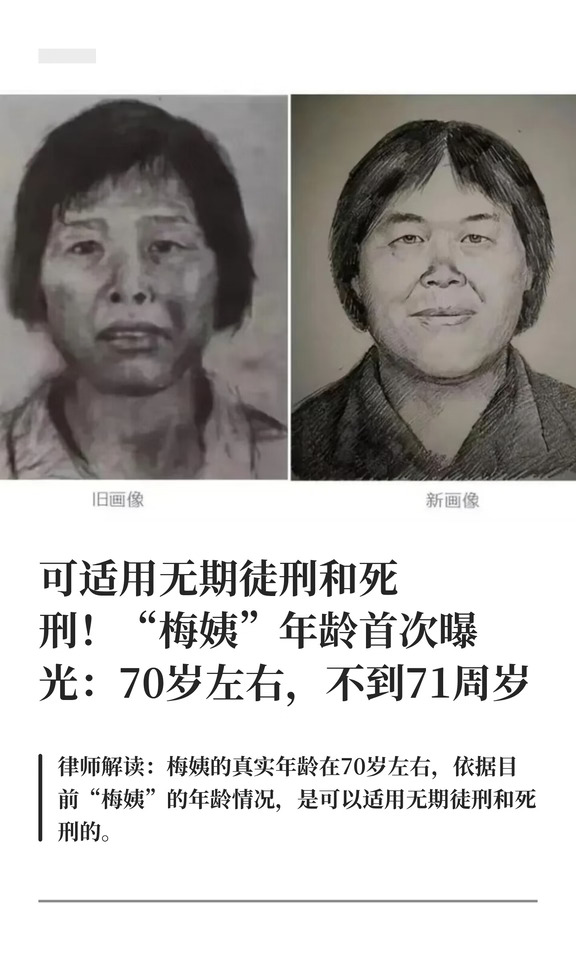 可适用无期徒刑和死刑！"梅姨"年龄首次曝光