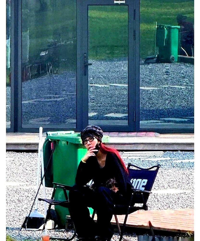狗在前面跑，窦靖童和宋妍霏贴着走，顺手牵住晃了两下，谁都没躲。

就这一下，网上直接炸了。看展、吃饭、过夜全被扒了出来，不少人甚至急着去蹲王菲的表态。

可从退学、下巴纹身到如今交友，王菲何曾当众评价过半个字？在《歌手》翻唱爹妈的歌被说像王菲，窦靖童回得干脆：“没有他们就没有我。”

从头到尾她就没