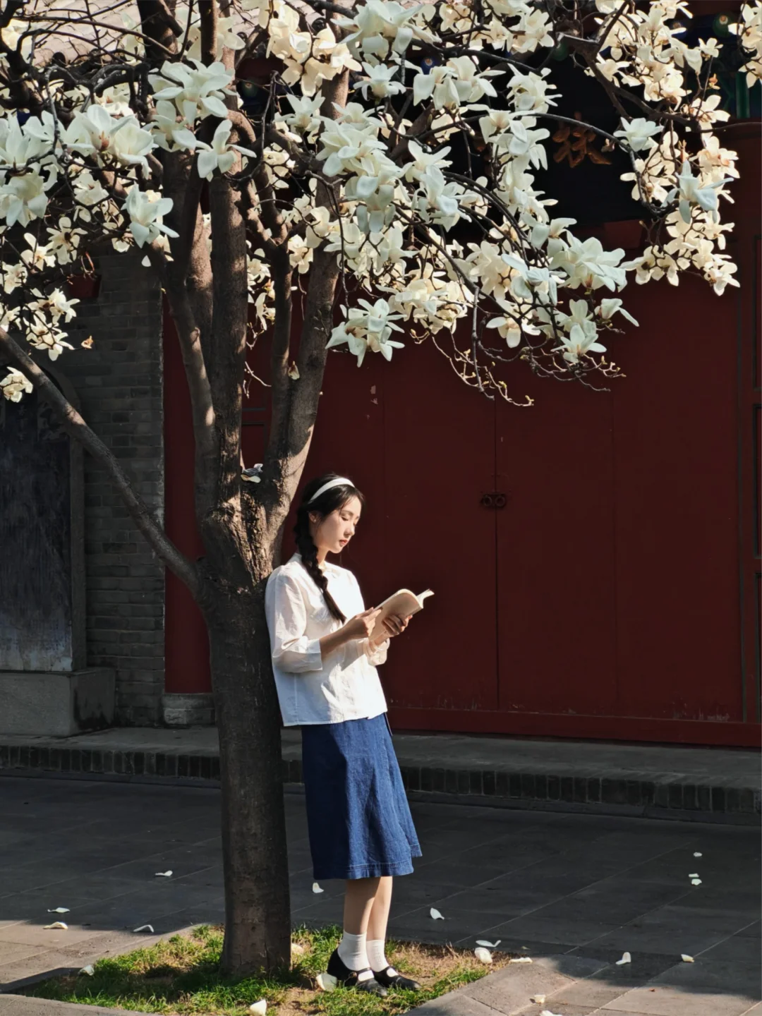 90年代，道观的玉兰树下