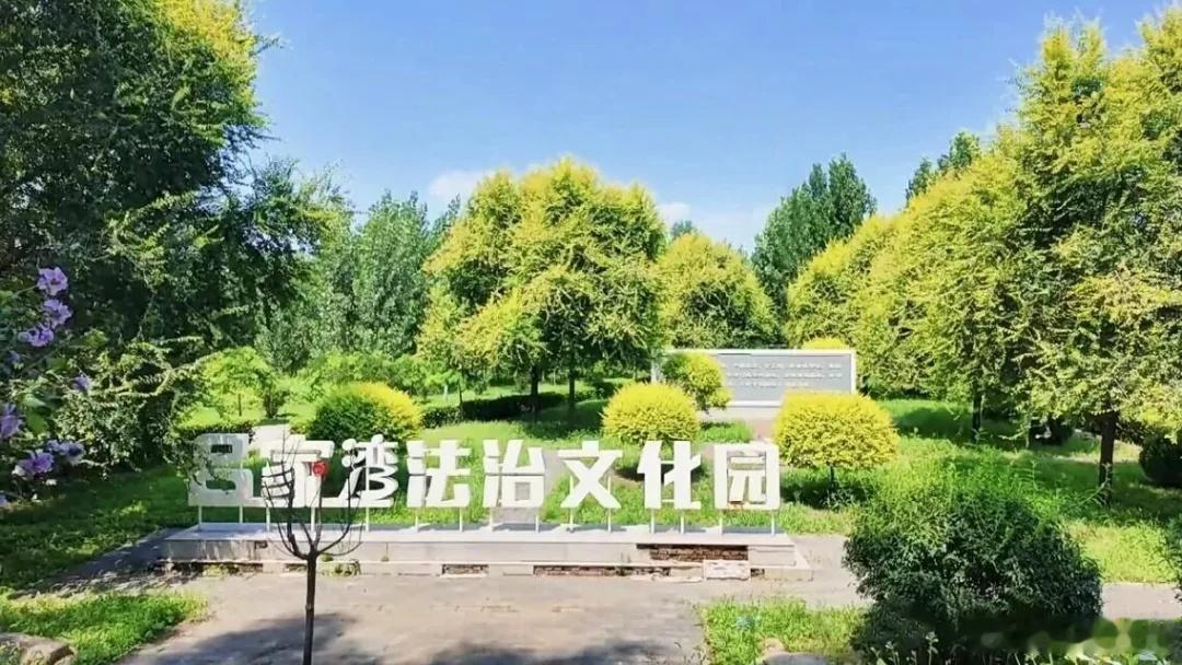 【通州西集：水中一棵树，岸边慢生活】，有一棵远近闻名的“吕家湾孤榆”。...