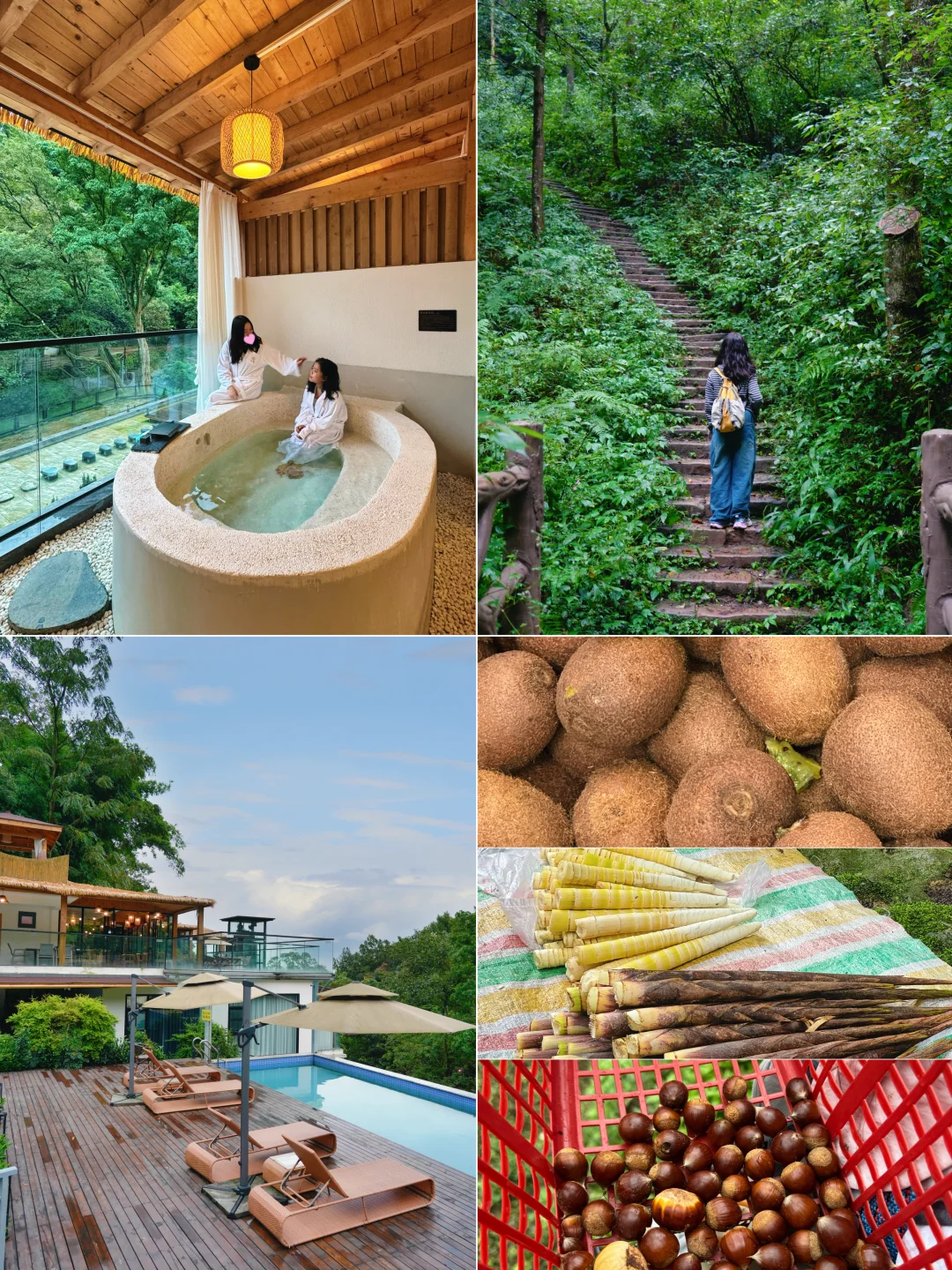 住进山里🍃泡私汤+徒步捡板栗太安逸了！