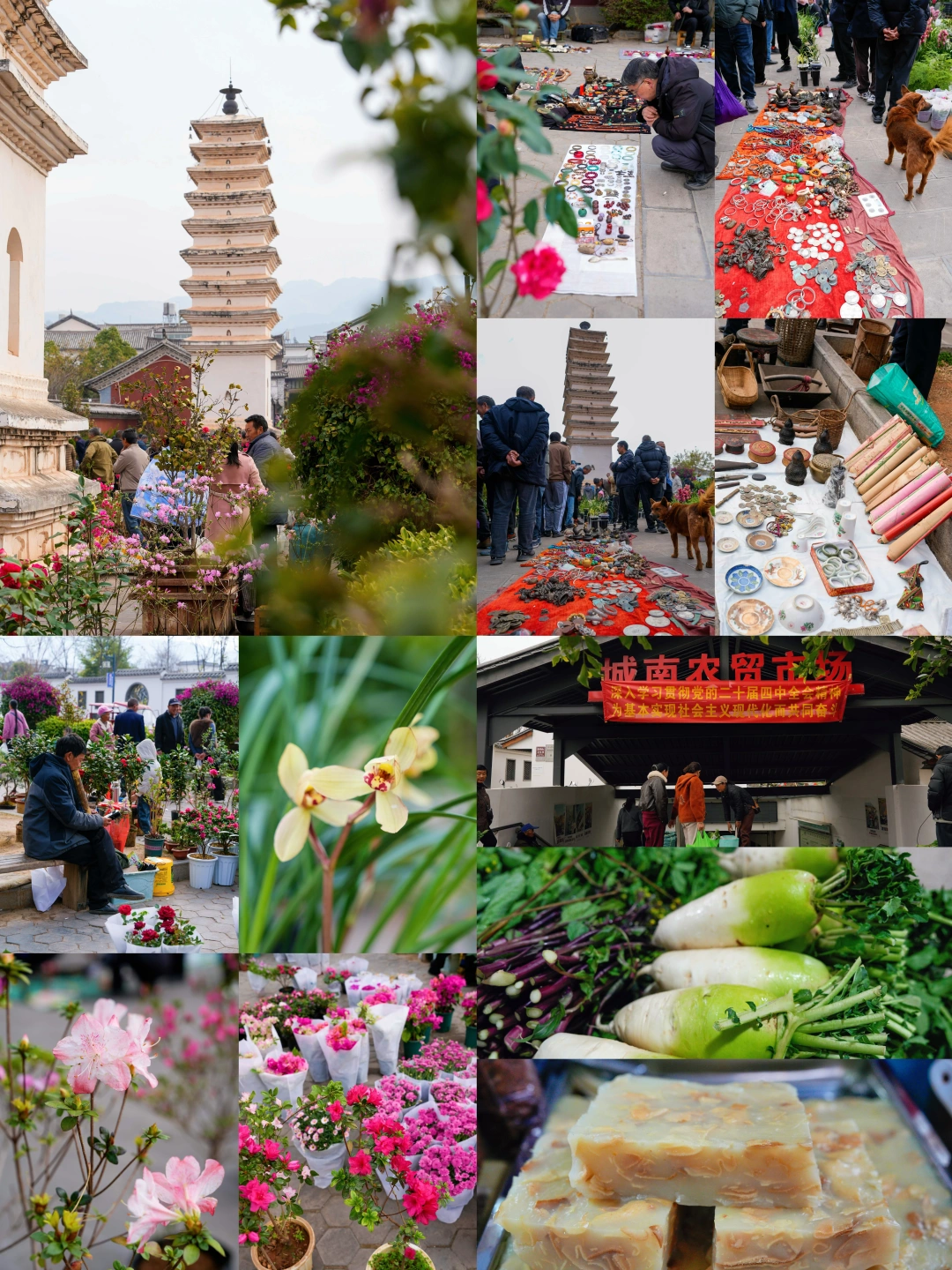 巍山一定不能错过的赶集天📍城南农贸市场