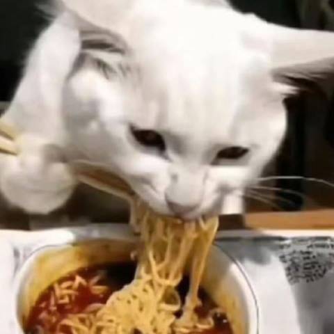 竹欣纪