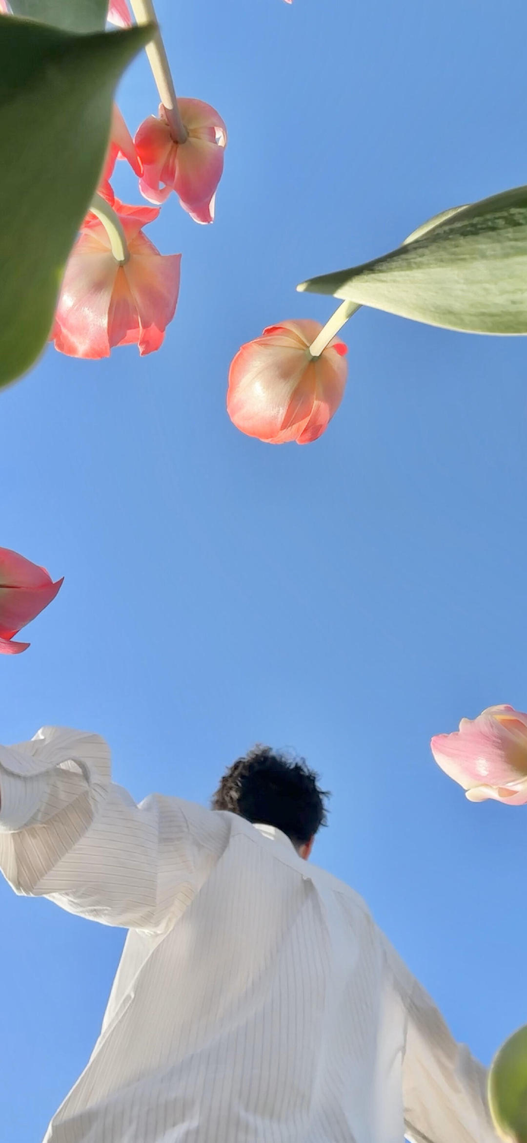 小清新壁纸 ​​​ 
#女生头像##头像# ​