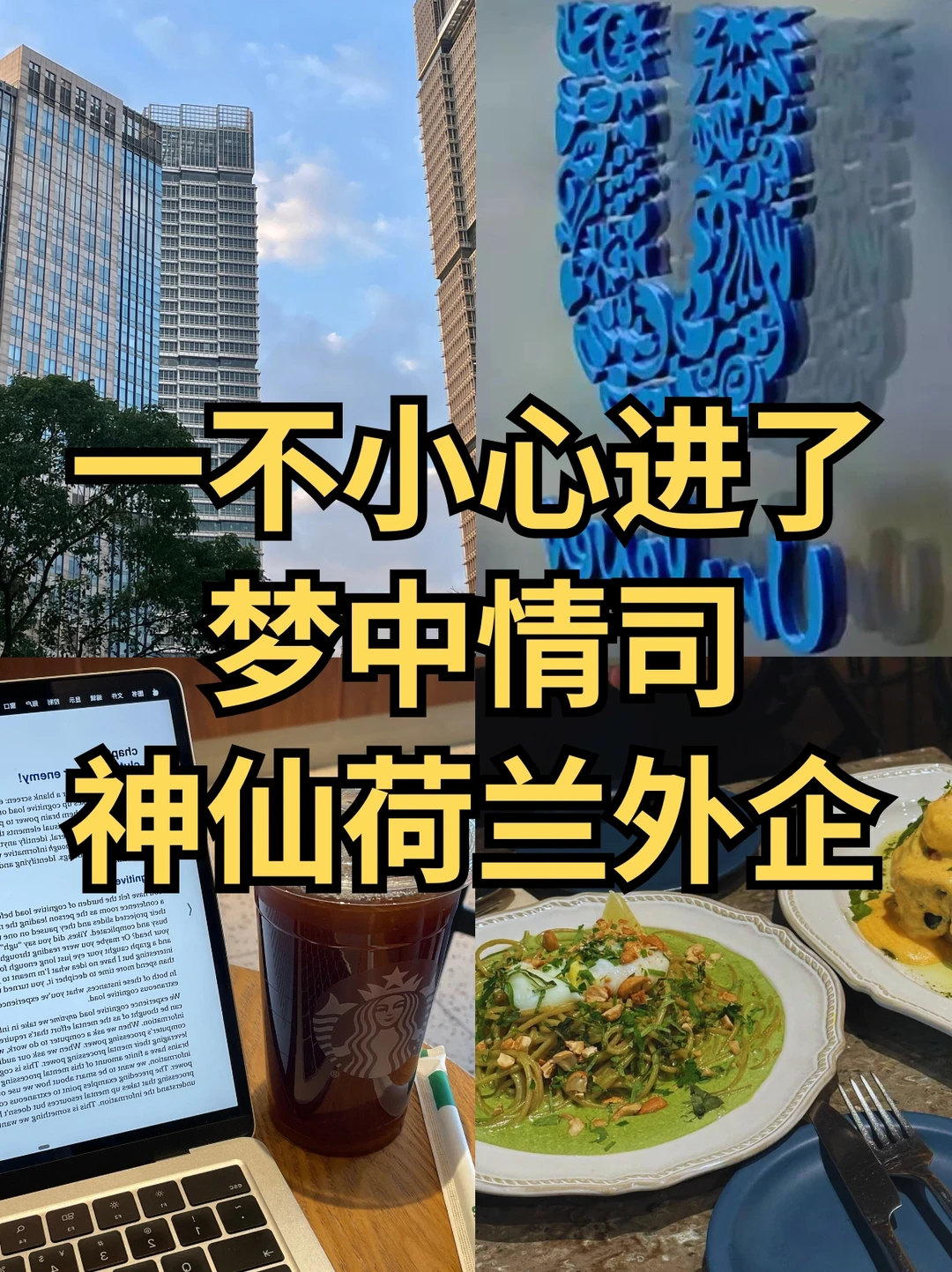 一不小心进了梦中情司：荷兰外企🇳🇱