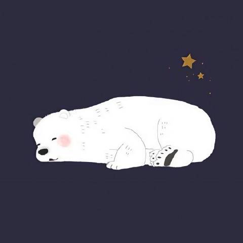 一只团子熊