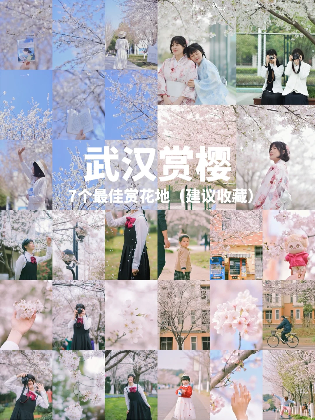 武汉赏樱保姆级攻略，7个最佳打卡地快收藏