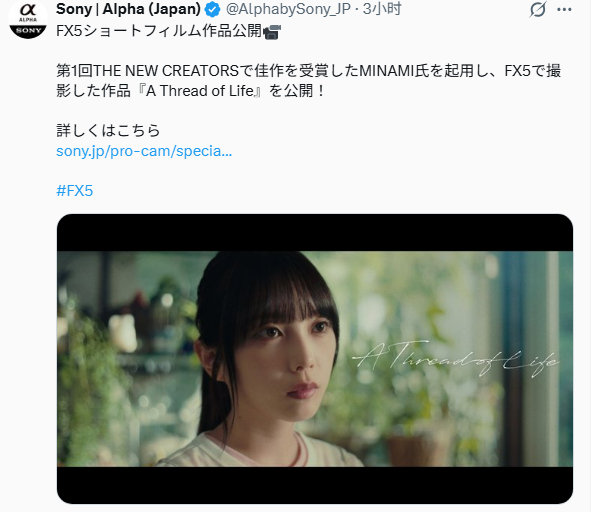 索尼员工的正确用法 ​