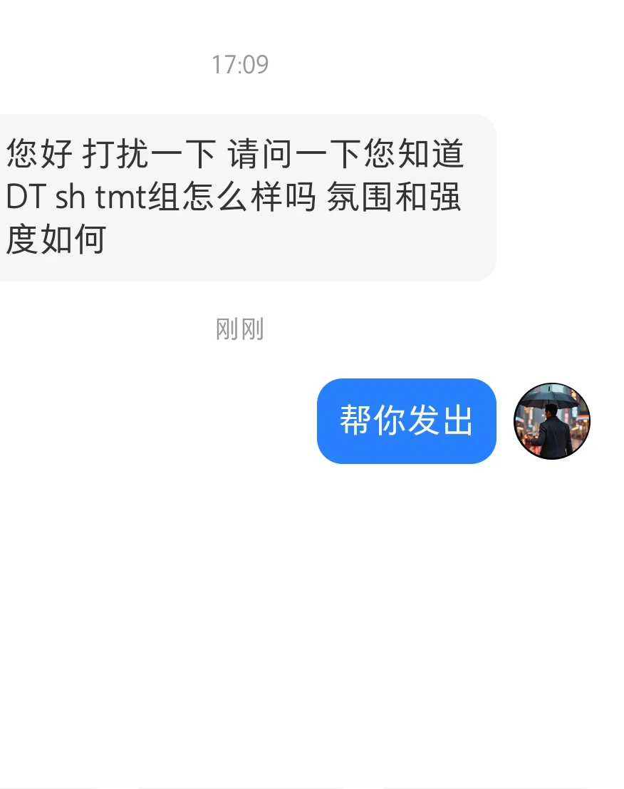 上海黑绿tmt组审计如何
