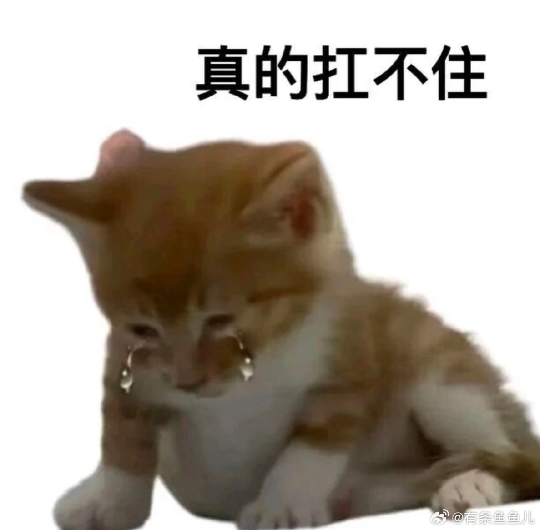 昨晚Claude、Codex、Grok三家一起趴窝近四个小时，古法编程短暂复兴，但我觉得扎心的是三家死对头跑的是同一套底座，底座一断一起断。 ​