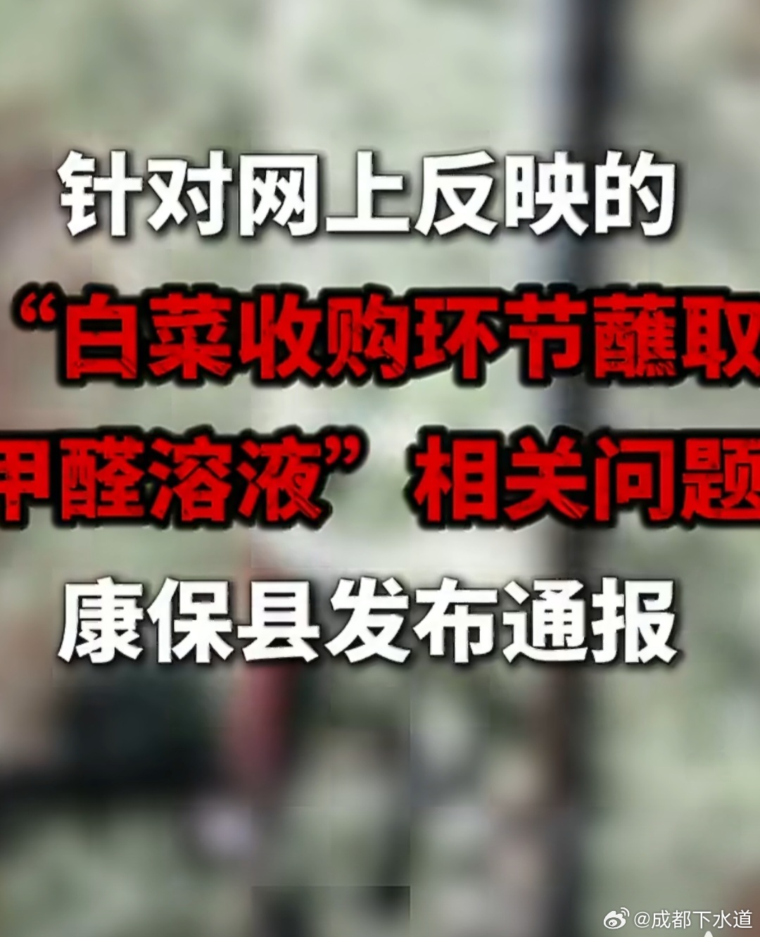 #白菜蘸甲醛##健闻登顶计划# 

当保鲜成为一门作恶手艺

   作者：成都下水道

《汉书·郦食其传》中有一句穿越两千年的箴言：王者以民为天，而民以食为天。 食，关乎江山社稷，稷为百谷之王，"食"不聊生了，不怨声载道才怪。

最近，河北张家口康保县的田头，有人正在用实际行动证明：当食的天塌了一个 ​