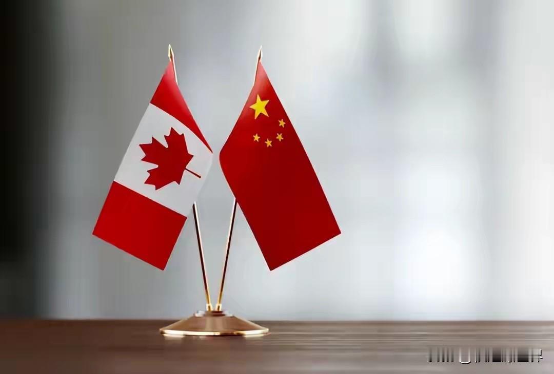 被大哥逼到墙角，加拿大终于掀桌子了。
 
时隔整整8年，中加正式重启中断多年的军方防务对话，这一步，是加拿大彻底看透美国、主动清醒的关键转折。
 
作为美国最铁杆的盟友、五眼联盟核心成员，加拿大多年唯美国马首是瞻，深度绑定美方经济、军事、防务体系。可换来的不是庇护与尊重，而是无止境的霸凌与拿捏。