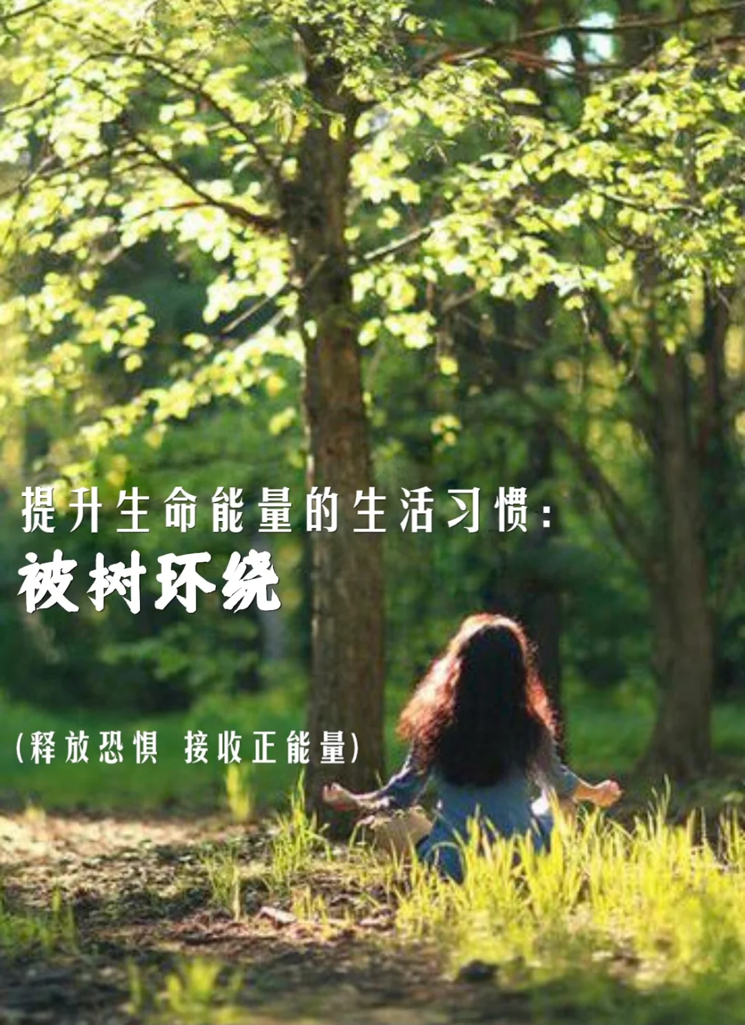 提升生命生命能量的生活习惯｜被树木围绕