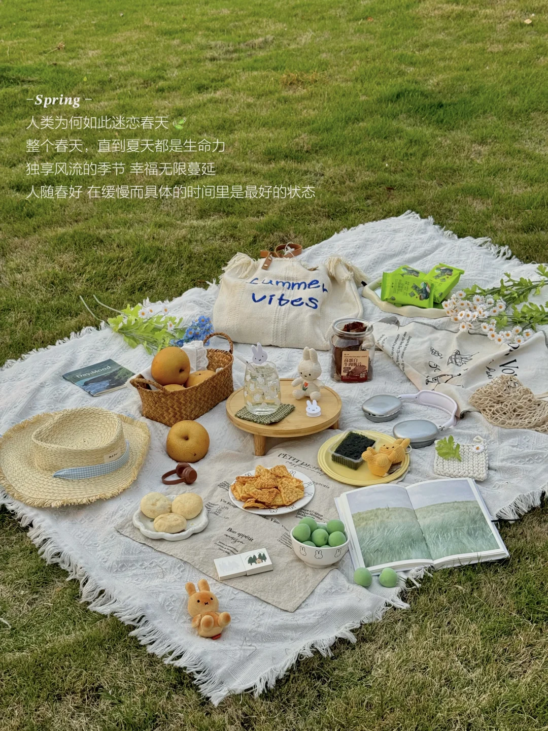 浙江首店！！小象超市宁波开业了！！！！