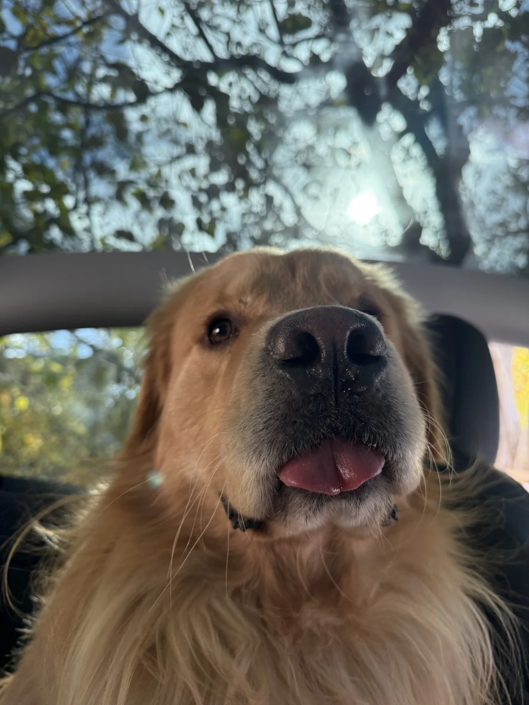 人，我要去漫长的旅行了，快来短租我的小院