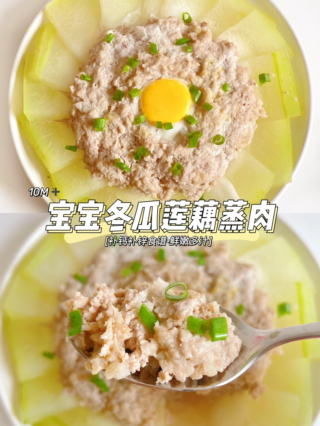 补铁补钙食谱|冬瓜莲藕蒸肉|鲜嫩开胃|无油