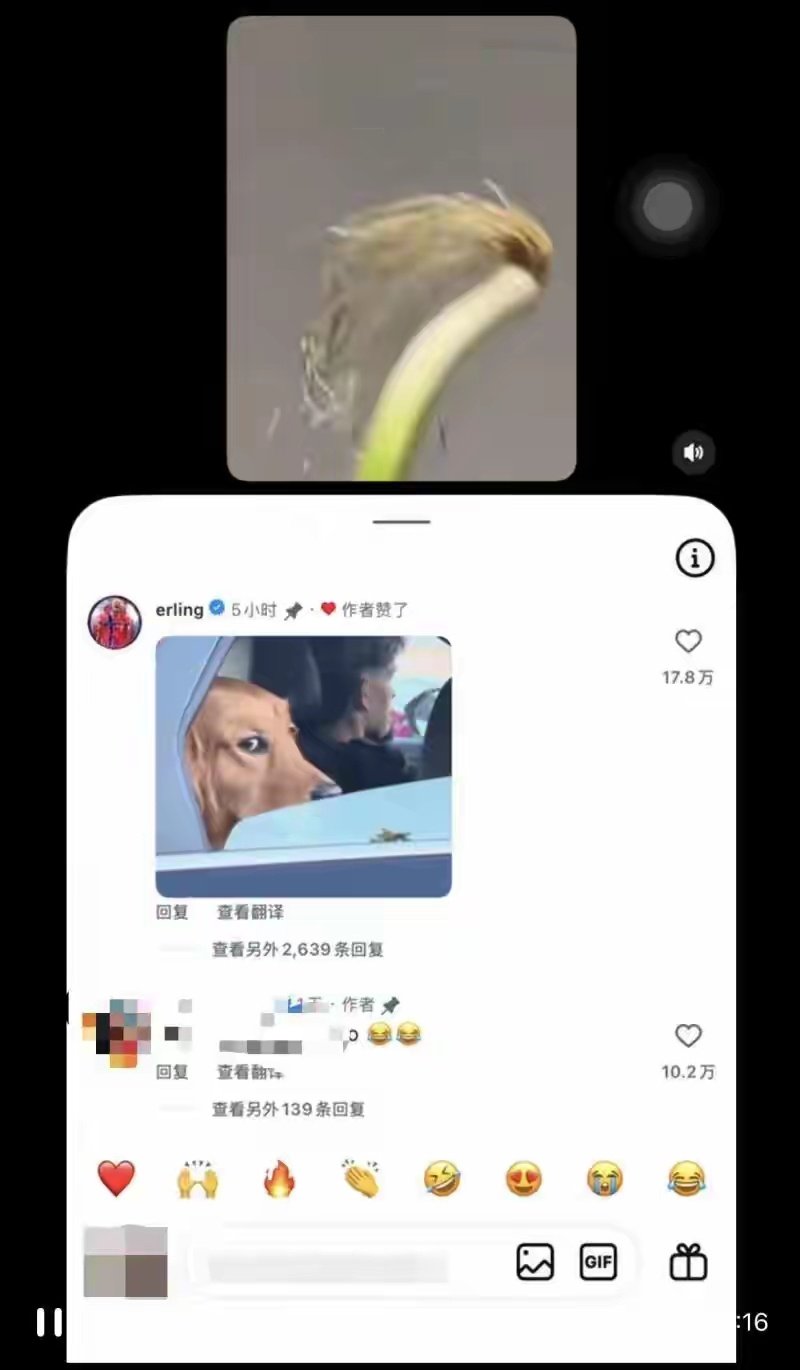 哈兰德起诉挪威航空，其发型图未经同意被P在飞机上；此前他被中国网友调侃“哈兰德大葱”毫不生气，还“翻牌”回复 ​