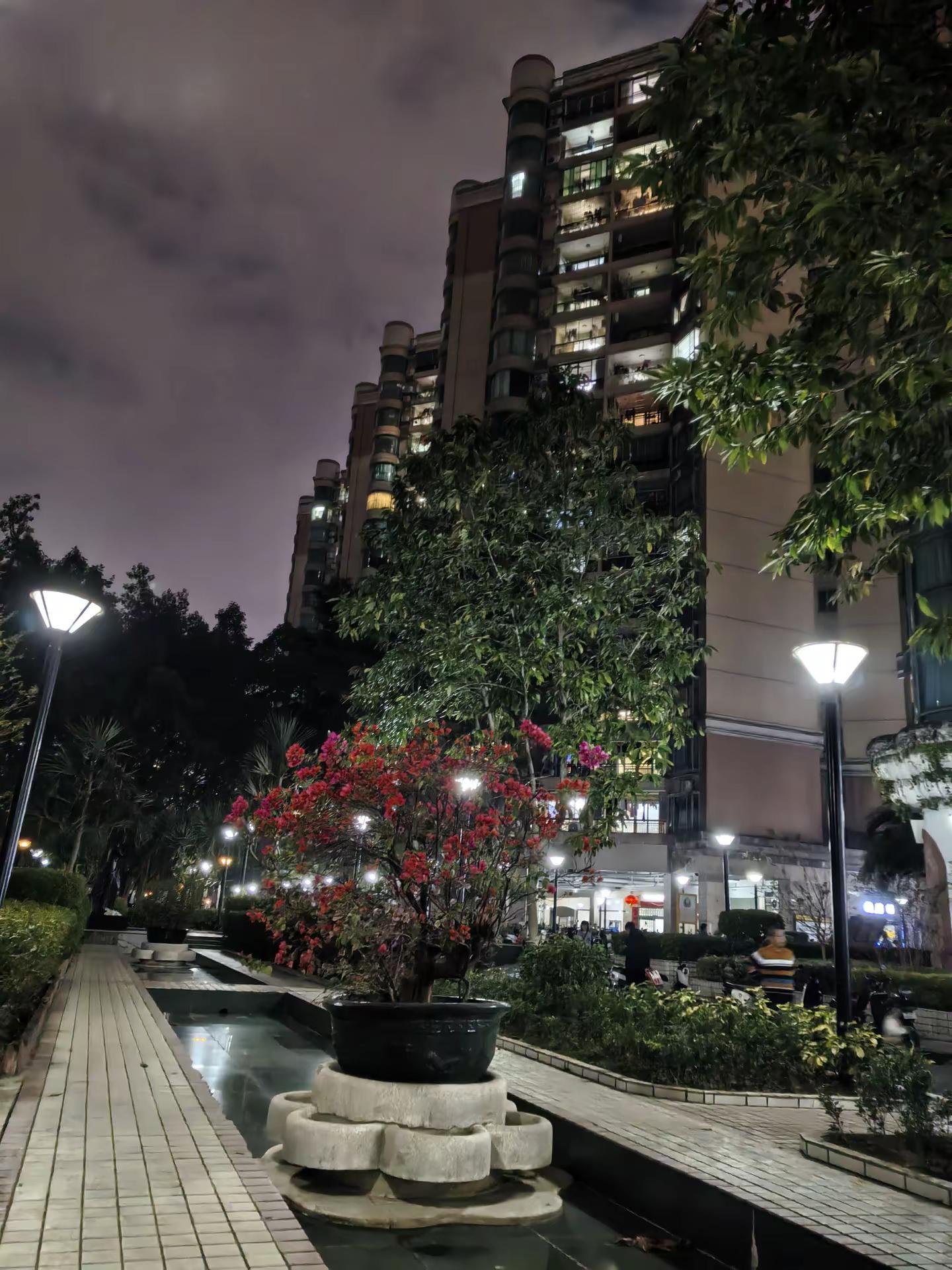 中国广东省广州市白云区。