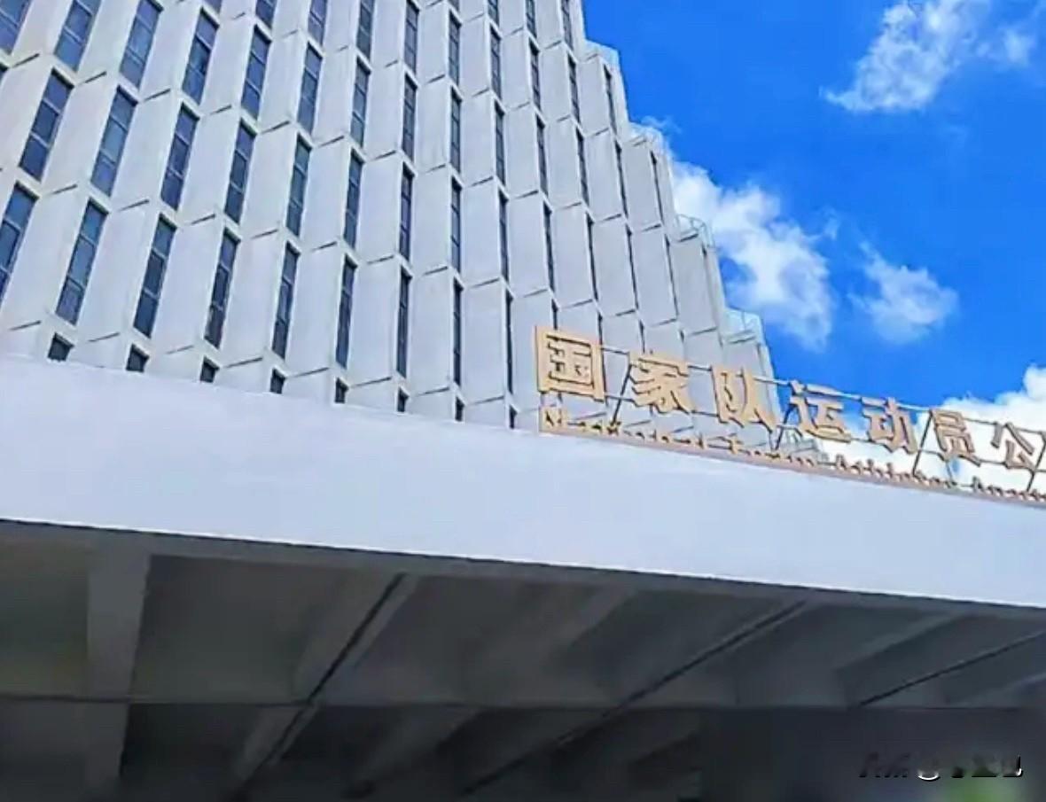 看完马龙重回国乒训练场的片段，心里颇有感触

他不是挂名顾问，也不是坐享荣誉的旁观者，回到训练场，就投入训练、陪练，尽心尽力帮助年轻队员成长

很多人功成名就之后，更愿意站在台下接受掌声，而马龙，却愿意扎进满是汗水的训练馆，做队伍需要的事

回想伦敦奥运会时期，大赛压力之下，他总能给身边小将带去底气