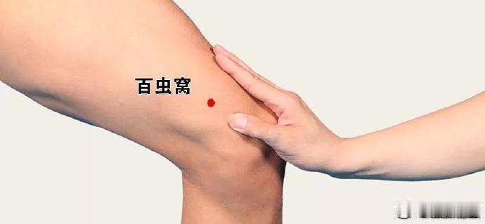 10月21日北派实时，北派古法长生图，强通八万四千气脉，中医穴位流注，返老还童，长寿过百岁。明日，丙午马年九月十三，百虫窝穴，午时，吉。明天午时，大家艾灸百虫窝穴，21分钟，可复原附近一条小气脉。这条小气脉，北派长生图称“蜚崮脉”，北派异人称阳火之脉，通皮肤气脉，比头发稍粗，在人出生后三十三岁左右断掉，人体开始有皮肤湿毒病，少白头，血热，红血丝增多，面赤，衰老。百虫窝穴， 又称血郄穴，驱虫大穴，V店坛火反馈百虫窝穴有湿气，大概率是吃了不干净的食物，或者皮肤病预警，19天发病，要尽快坚持治疗，配合孔雀明王火供更吉祥。
