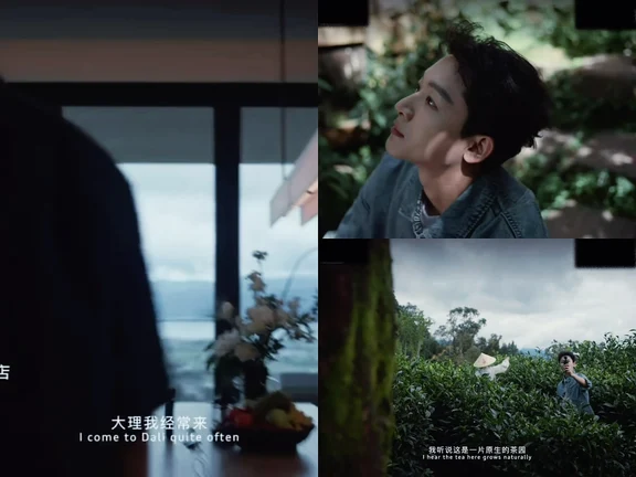 张晚意经常去大理玩诶