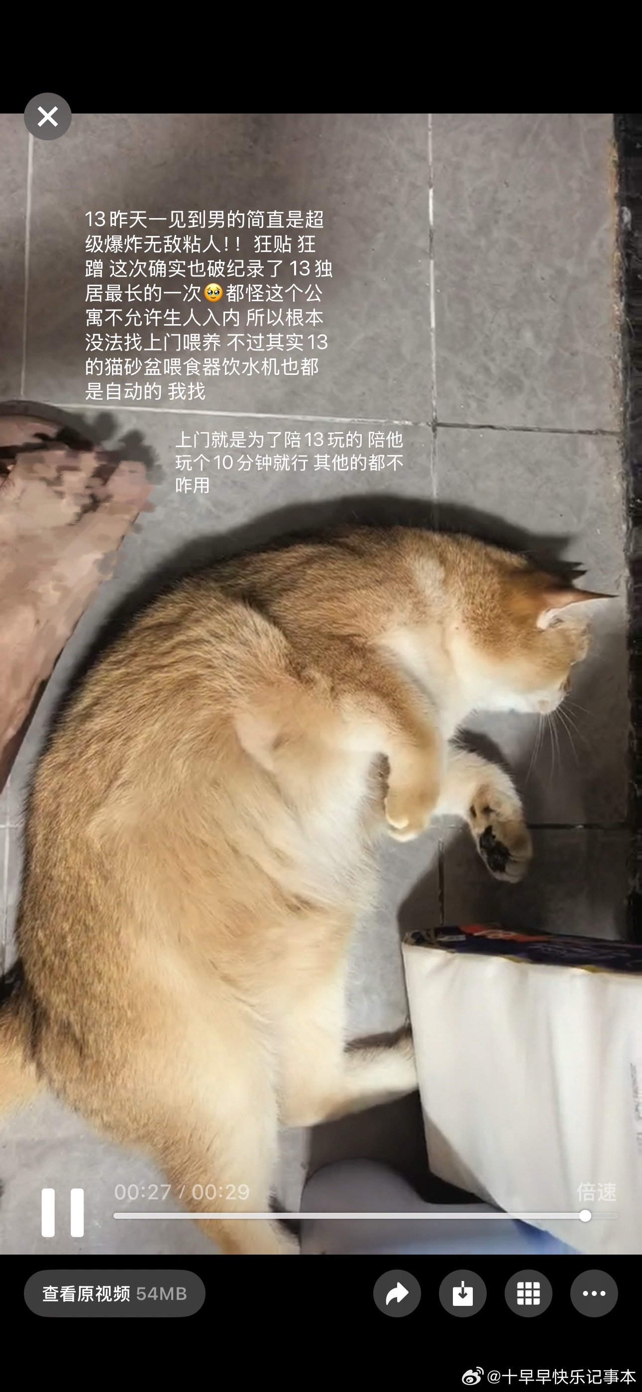 吃到锅包肉了 美味！晚上酣畅淋漓的搓了个大澡 爽！和妈妈在家里共度的一天！我11号就走啦有时候真是人算赶不上天算 11号这么早就走 是因为妈妈国庆前就准备在姥姥家异地办好护照 然后假期之后护照下来 我回去休整一周 收拾收拾行李等待下签两个人就可以准备去🇯🇵玩了！结果妈妈因为是接的睫毛所以当时护照没办 今天才办而且爸爸现在又临时出门 妈妈一个人在家 我还挺想陪陪手机到一周了再不签收就要退回 退机票也一大笔手续费种种原因 走也不想 呆着也没法呆我恨啊！！🥹