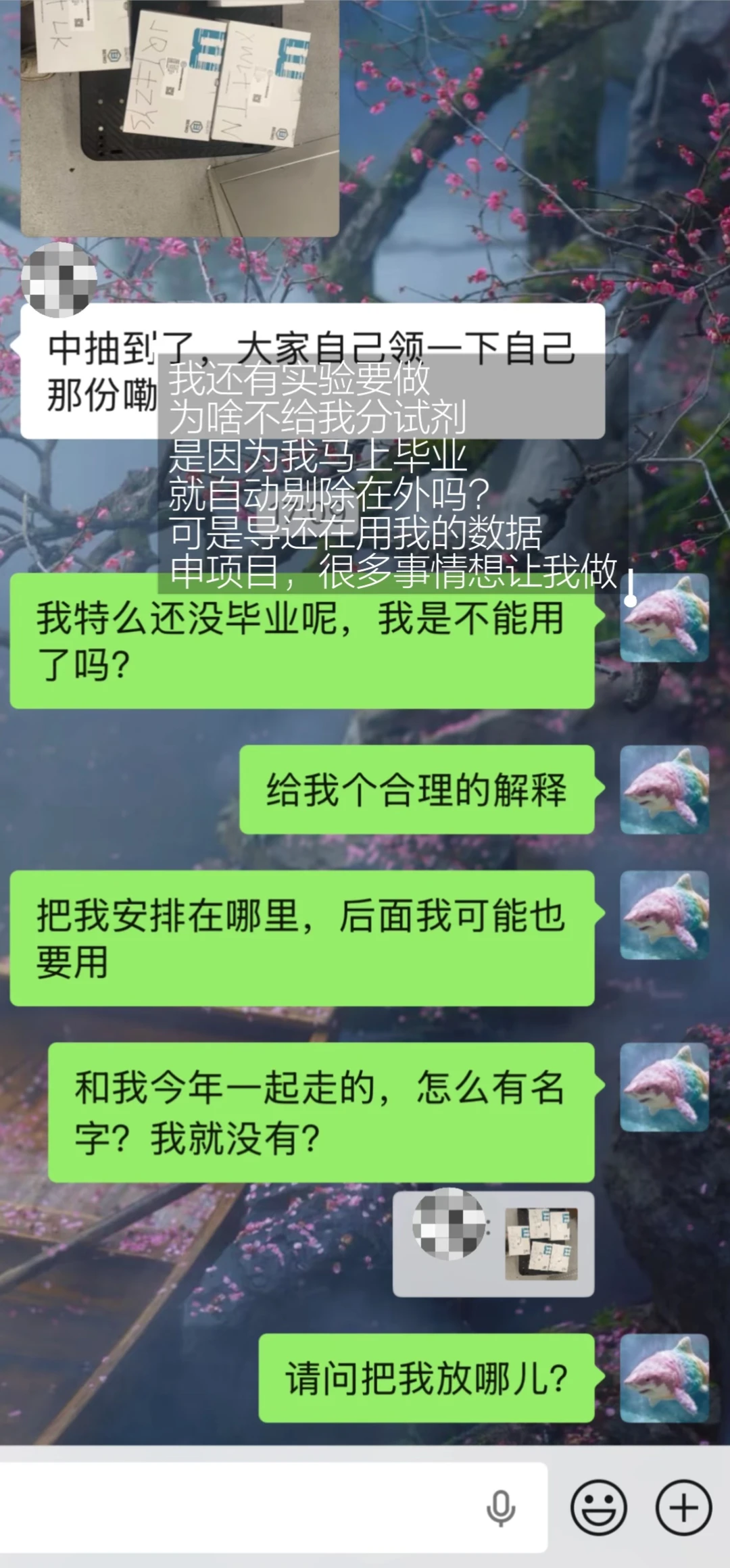组里扛大旗的大师姐，已经被边缘化了