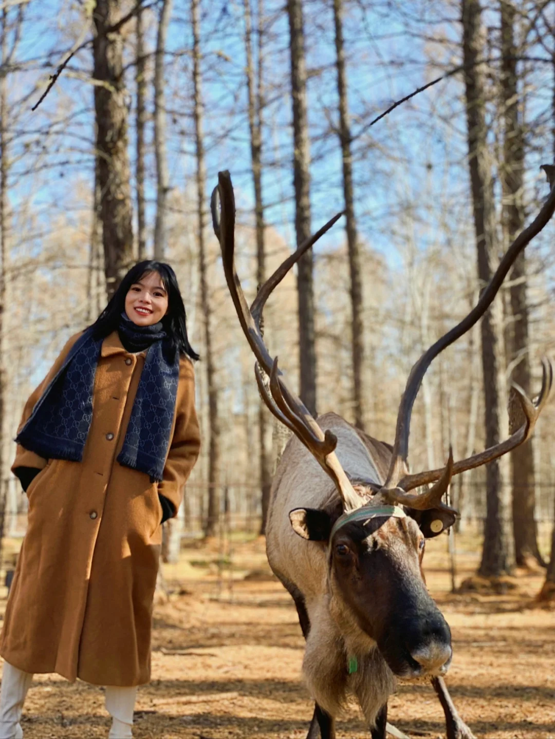 呼伦贝尔🍂秋天值得去的8个小众旅游拍照地