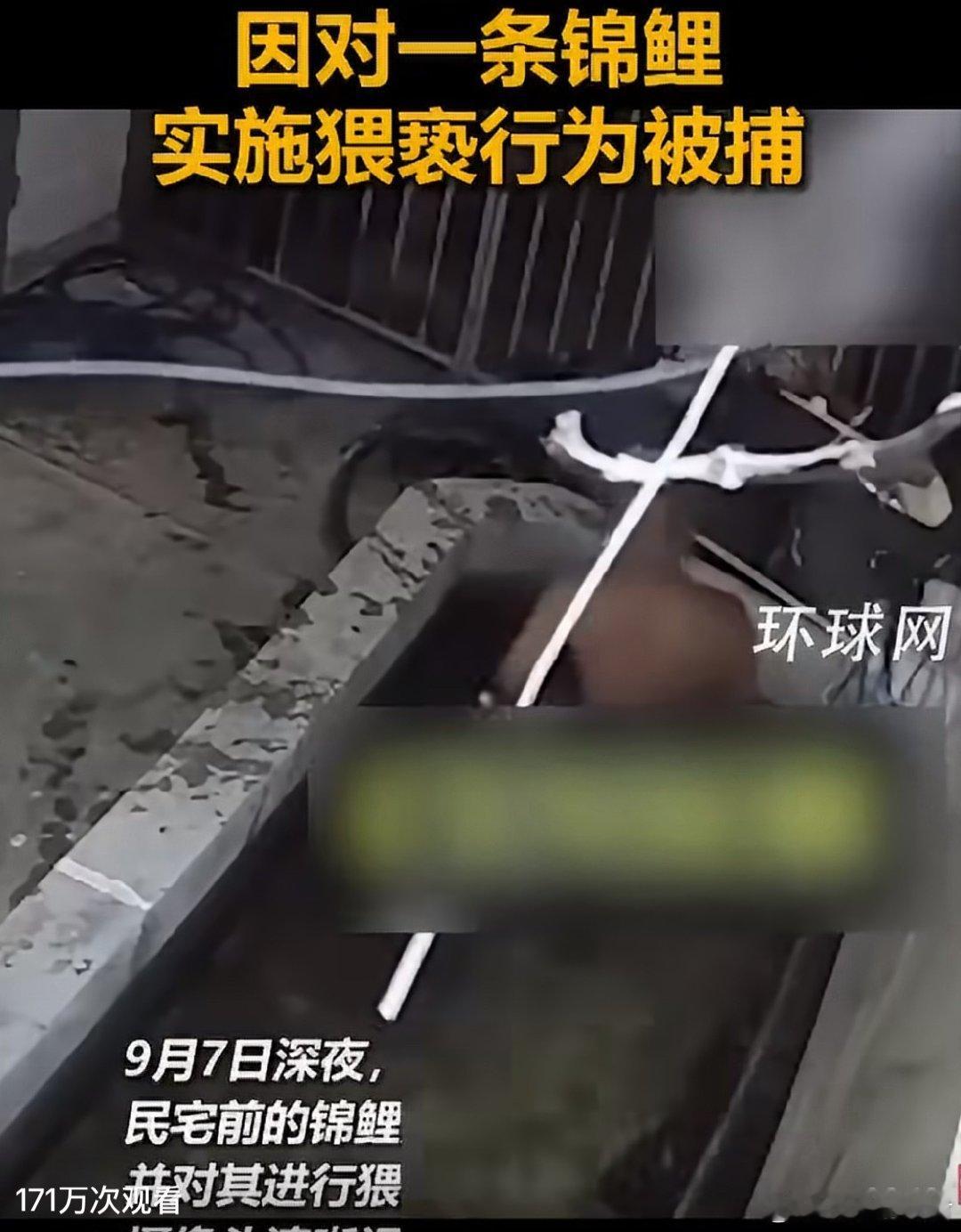 #泰国一男子猥亵锦鲤被捕#
51岁男子脱光跳入别人家的水池，猥亵锦鲤？？？真是起早了，有些眼花，这是异物癖吧，一种变态心理疾病。

锦鲤：感觉自己不干净了[泪] ​