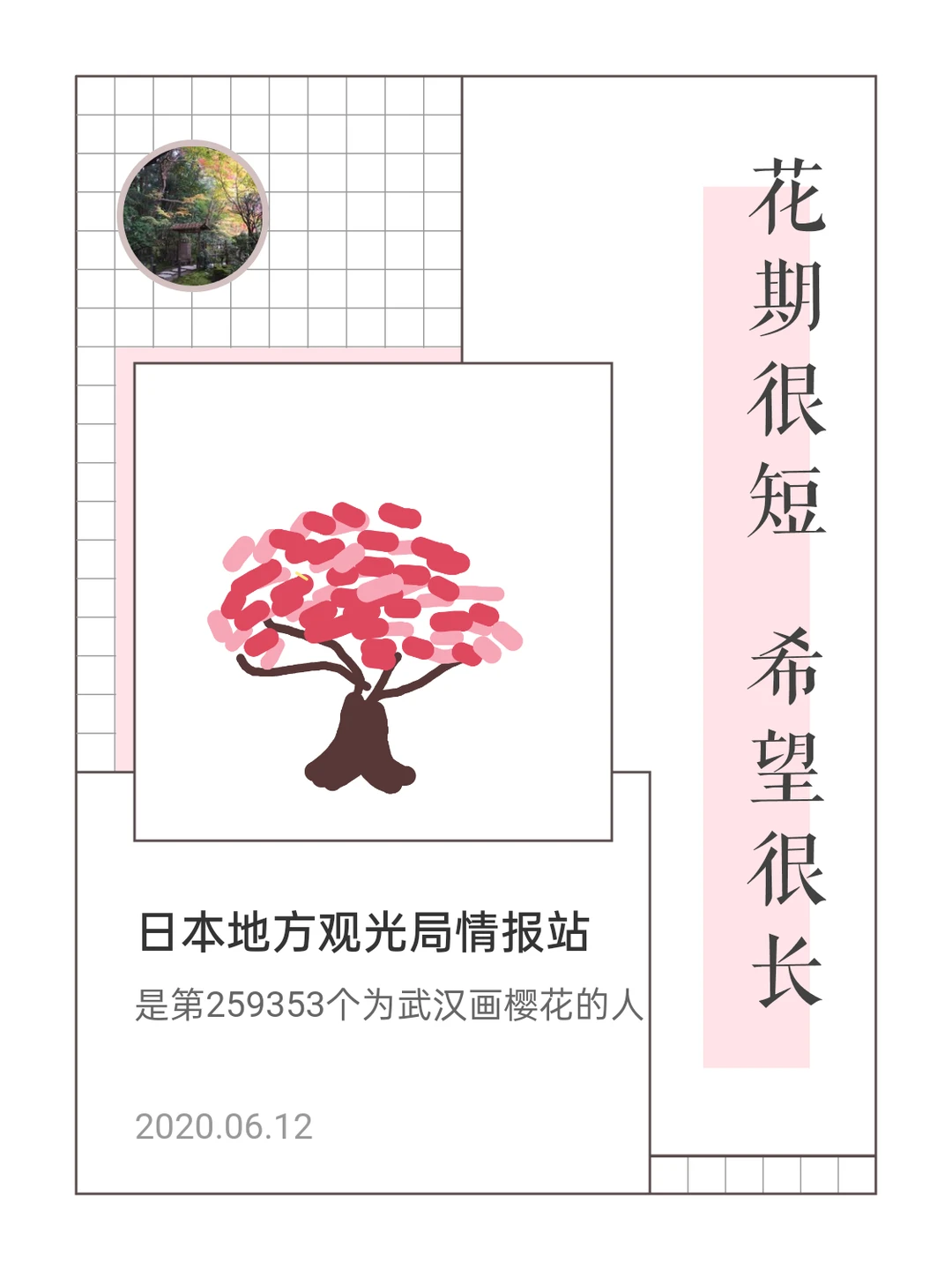 春天到了，武汉的樱花开了~