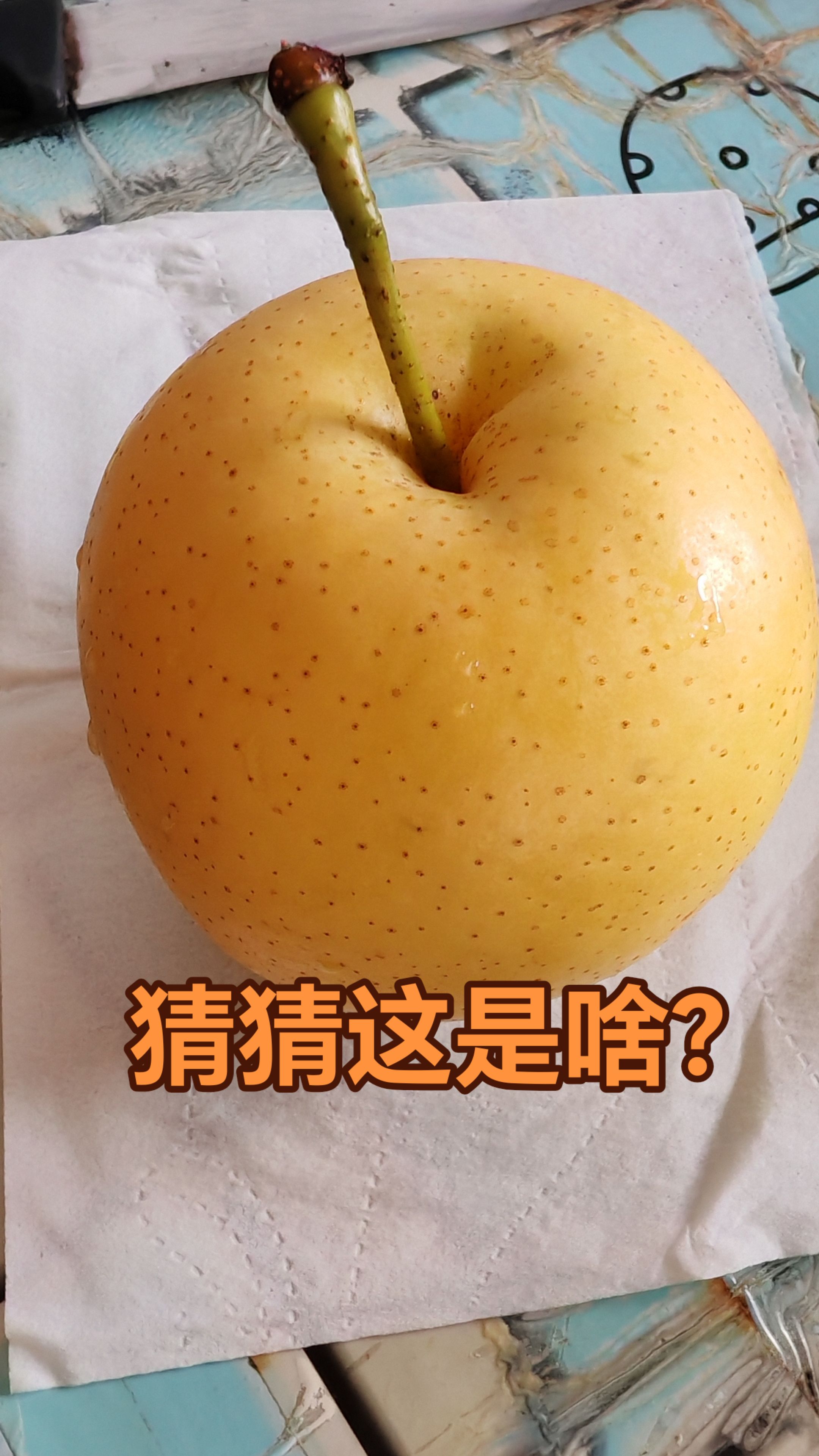 #不加甜蜜素的天然美味水果 #苹果 #梨