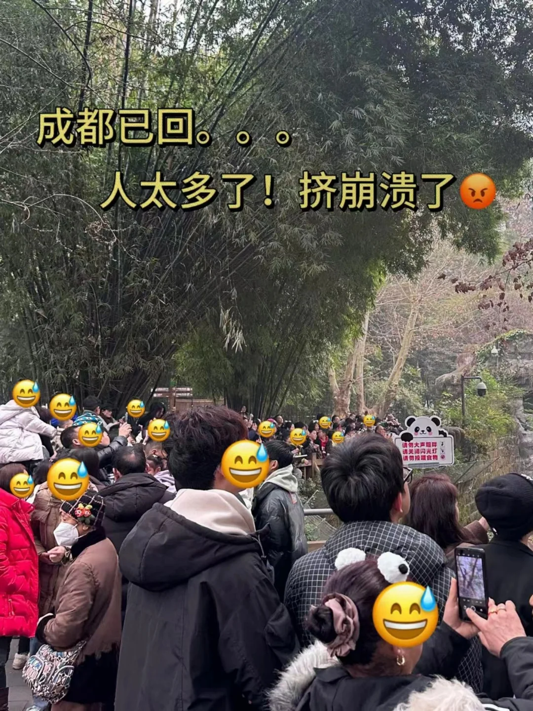 实话难听…但这就是成都寒假真实现状😭😭