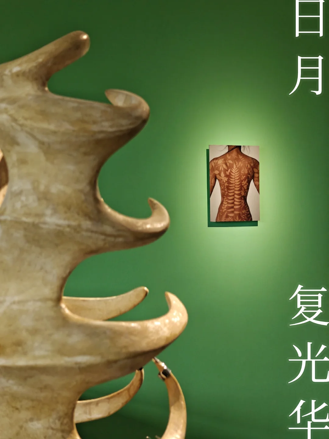 红榜 | 用当代艺术之眼探索复旦哲思