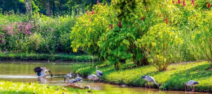 仅仅被记录到20年，它们的生存现状如何？