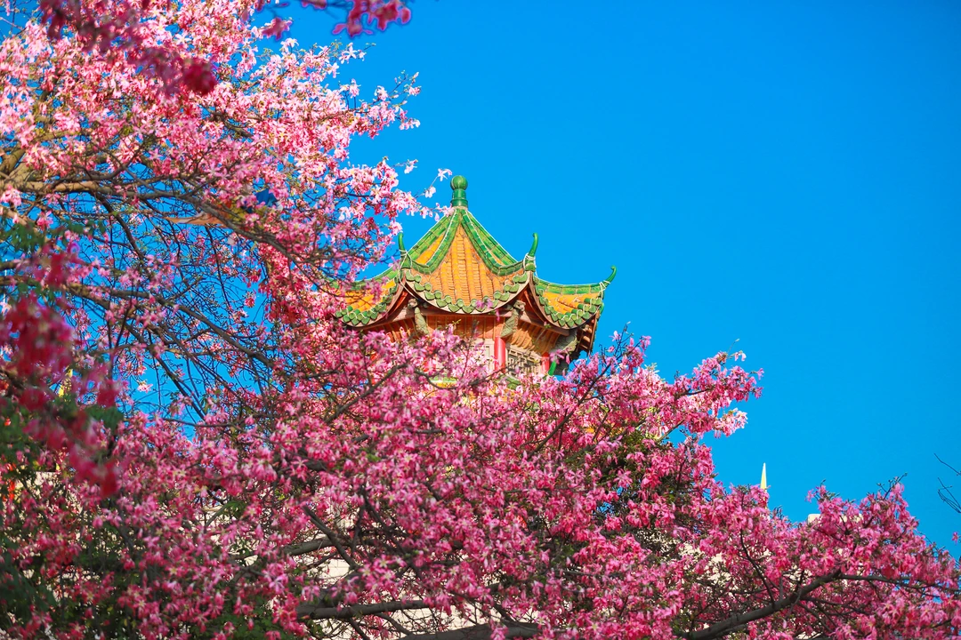 美炸了！东莞观音山的冬日浪漫